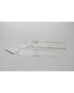 United Scientific Supply Thick Concavity Slides, Glass, 1 Concavity, 75Mm X 25Mm, Pack Of 12; USS-CSTK01